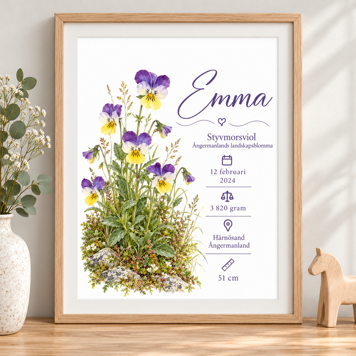 Födelsetavla med styvmorsviol, Ångermanlands landskapsblomma, i ekmönstrad ram