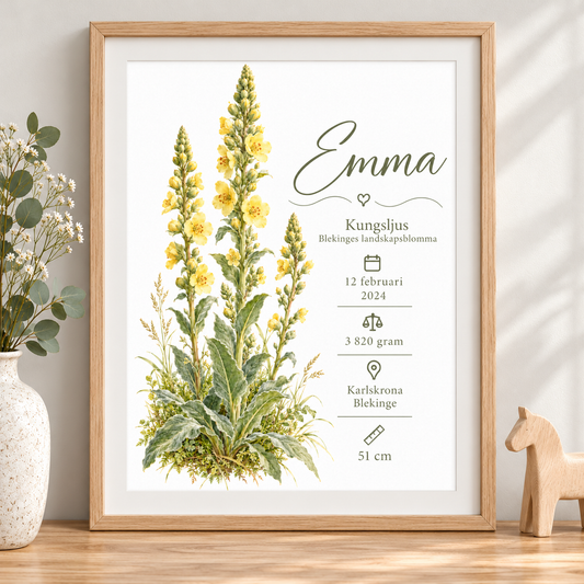Födelsetavla med kungsljus, Blekinges landskapsblomma, i ekmönstrad ram