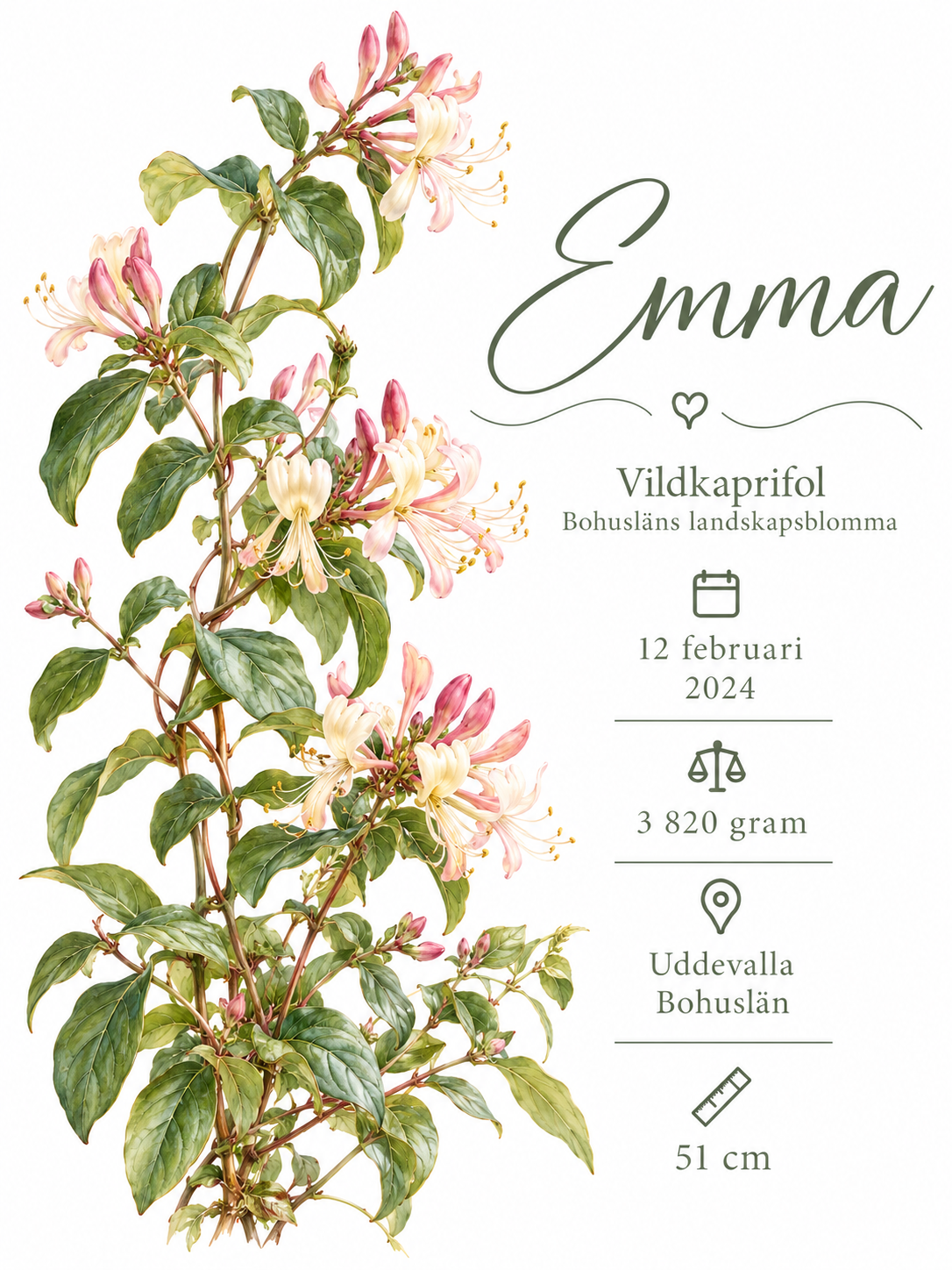 Födelsetavla med vildkaprifol utan ram – personlig doptavla med namn