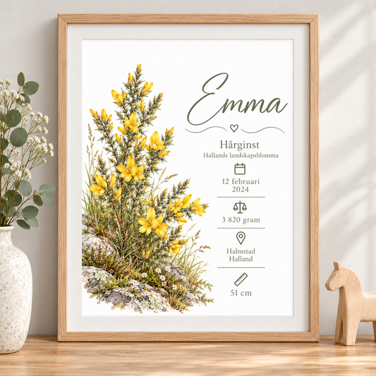 Födelsetavla med hårginst, Hallands landskapsblomma, i ekmönstrad ram